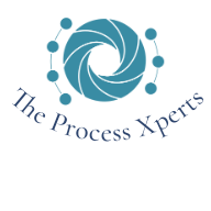 The Process Xpert